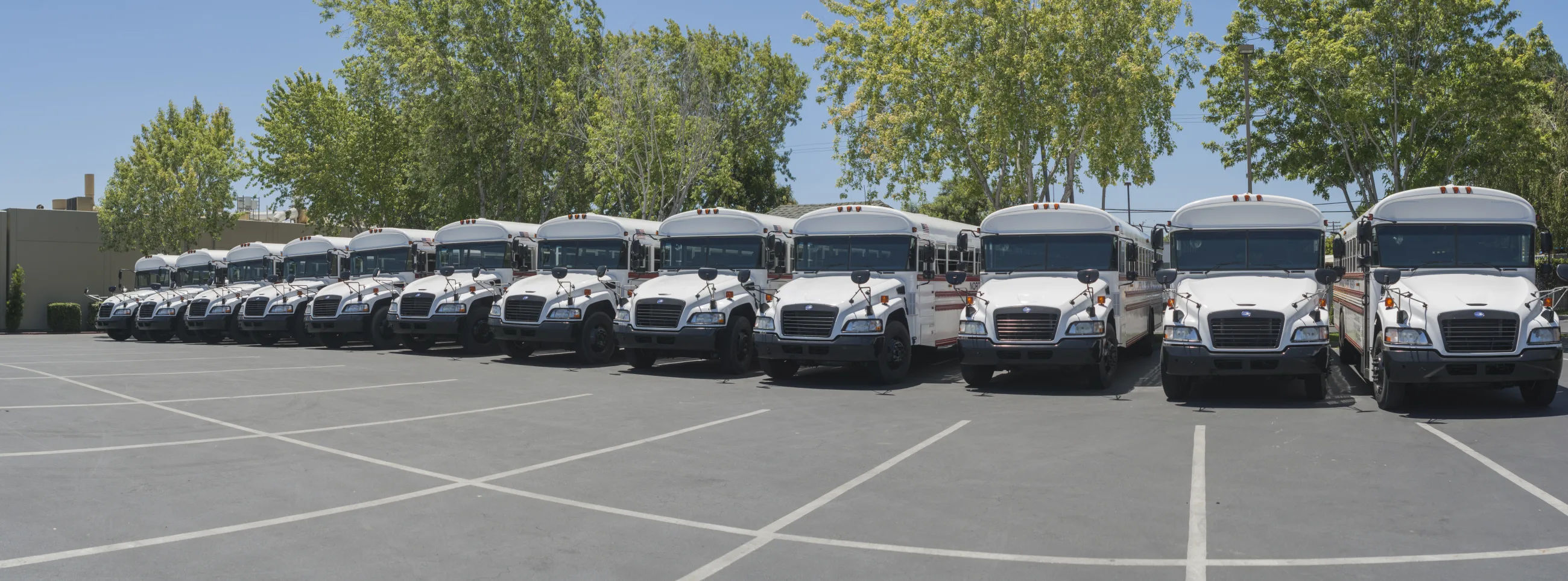 A fleet of North Valley Baptist Church buses